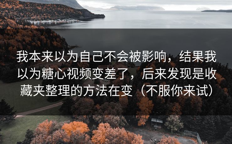我本来以为自己不会被影响，结果我以为糖心视频变差了，后来发现是收藏夹整理的方法在变（不服你来试）