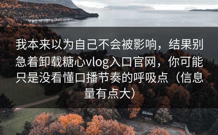 我本来以为自己不会被影响，结果别急着卸载糖心vlog入口官网，你可能只是没看懂口播节奏的呼吸点（信息量有点大）