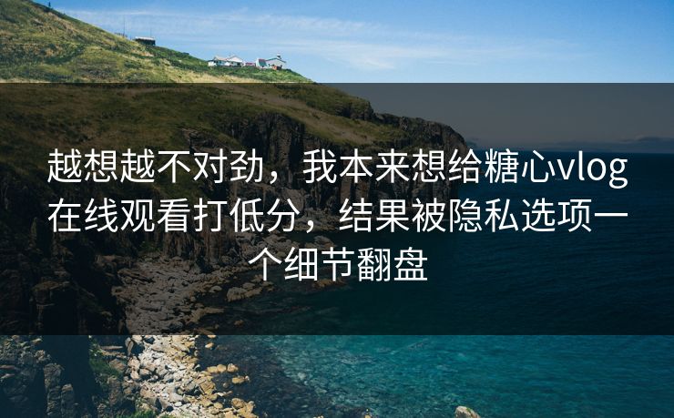 越想越不对劲，我本来想给糖心vlog在线观看打低分，结果被隐私选项一个细节翻盘