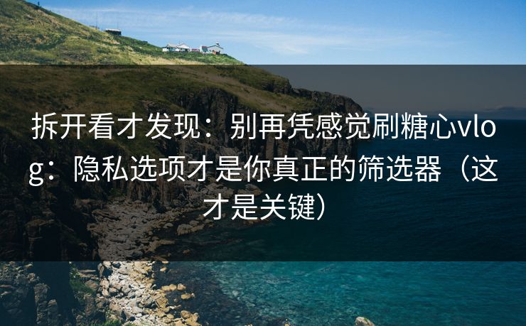 拆开看才发现：别再凭感觉刷糖心vlog：隐私选项才是你真正的筛选器（这才是关键）